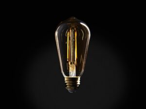 LED ST19 Filament E26 Bulb